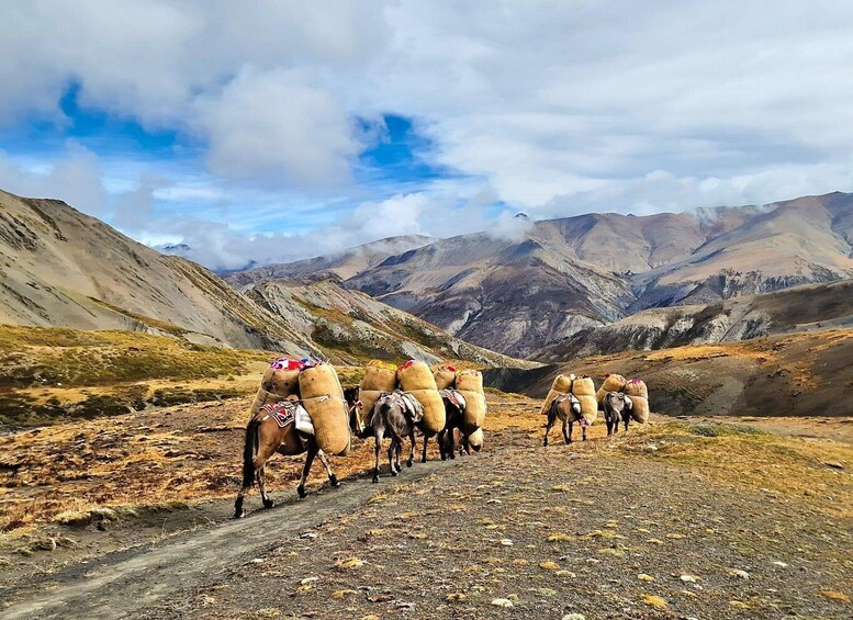 Picture 1 for Activity Upper Dolpo Trek - 24 Days