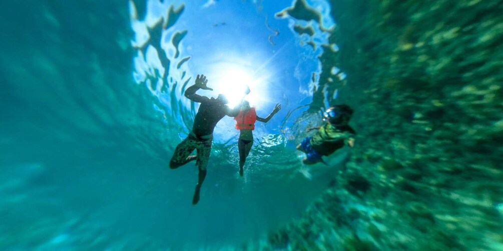 Picture 4 for Activity Zanzibar: 3-Day PADI Open Water Scuba Dive Course