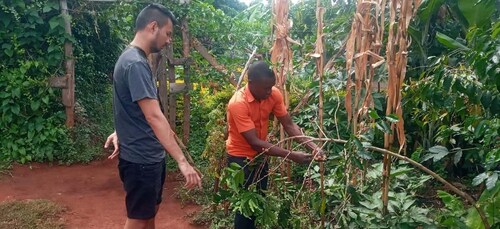 Three days source of the nile & sipi falls tour