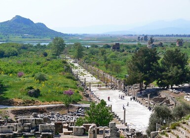 Kusadasi: Halvdagstur til Efesos med arkeologisk museum