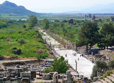 Kusadasi: Halvdagstur til Efesos med arkeologisk museum