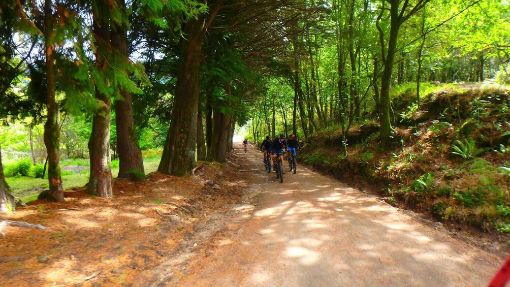 Picture 1 for Activity Portugal: Peneda Gerês National Park by Electric Bike