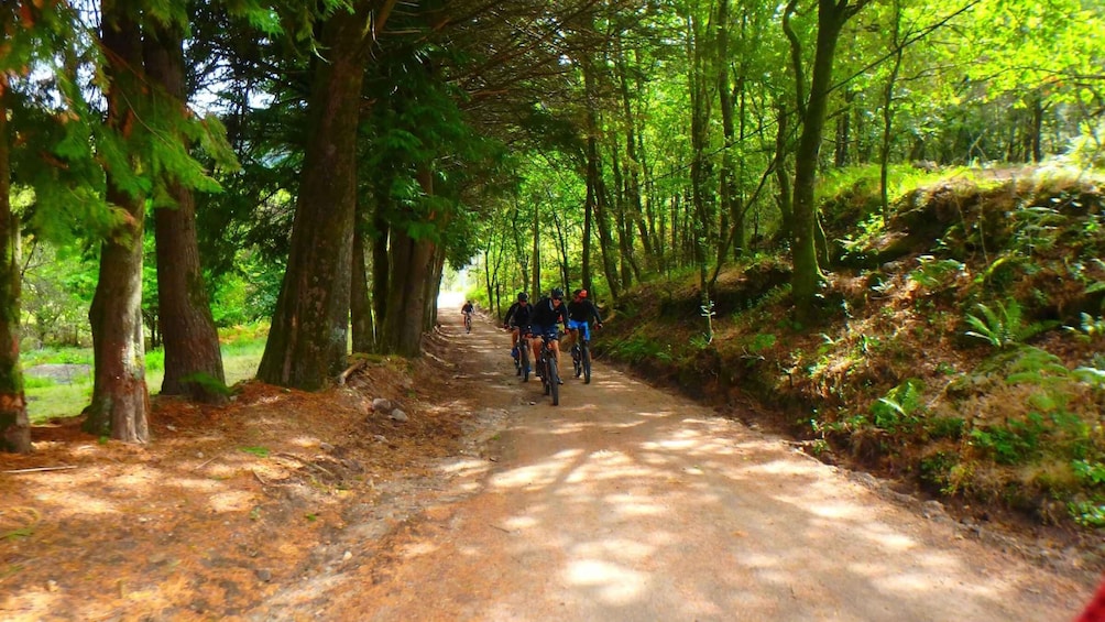 Picture 2 for Activity Portugal: Peneda Gerês National Park by Electric Bike