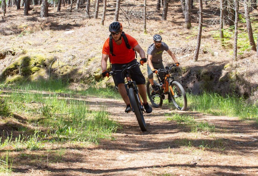 Picture 4 for Activity Portugal: Peneda Gerês National Park by Electric Bike