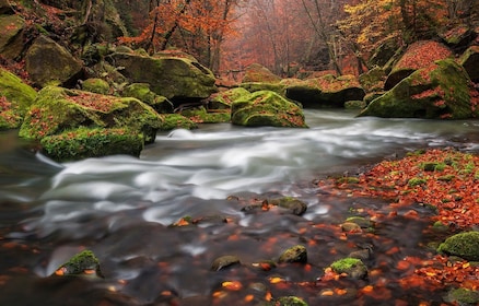 Bohemian Switzerland: Private Day Trip from Prague