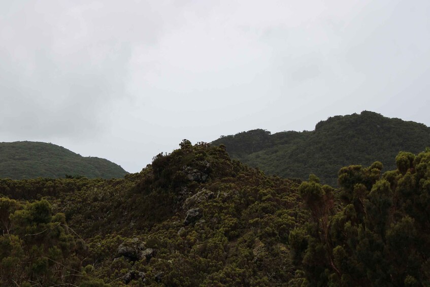 Picture 9 for Activity From Angra: 3-Hour Volcano Tour