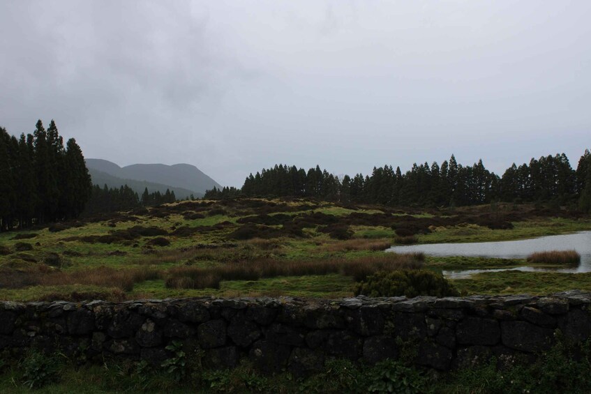 Picture 10 for Activity From Angra: Terceira Island Half-Day Geotour (Shared Tour)