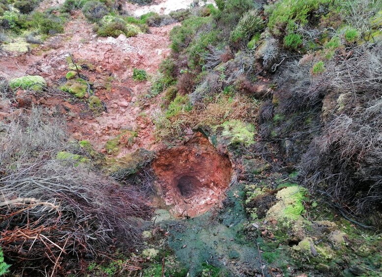 Picture 4 for Activity From Angra: 3-Hour Volcano Tour