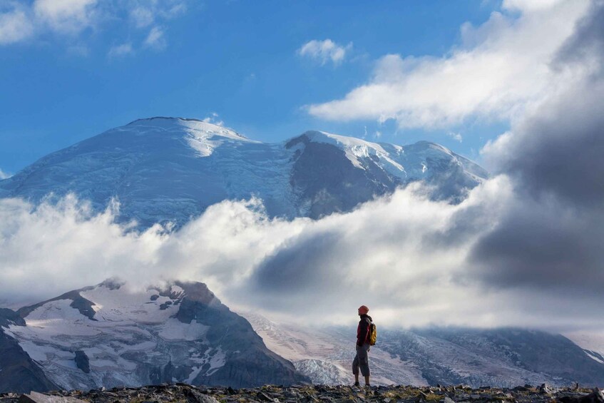 Mount Rainier National Park: Audio Tour Guide