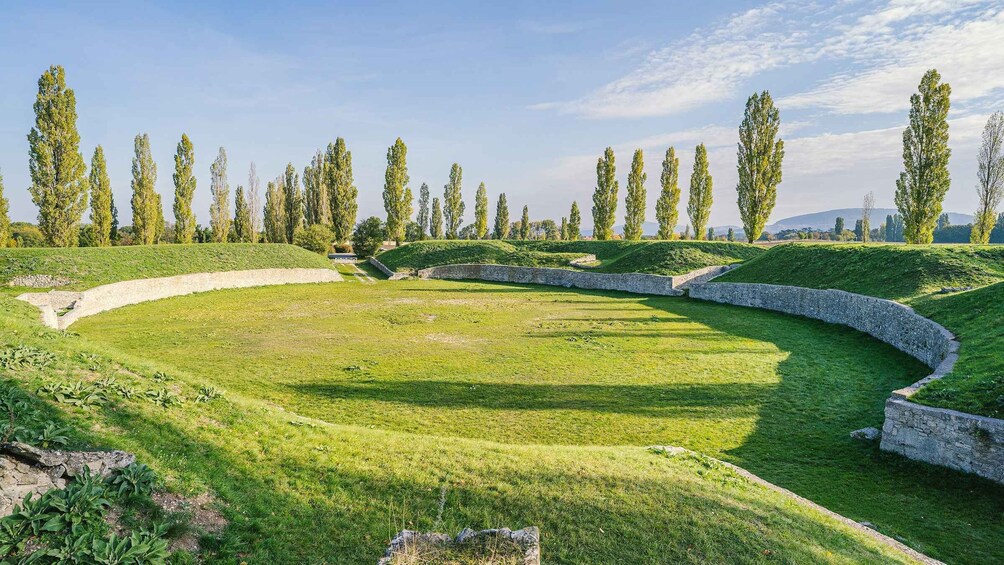 Picture 9 for Activity Roman City of Carnuntum Admission