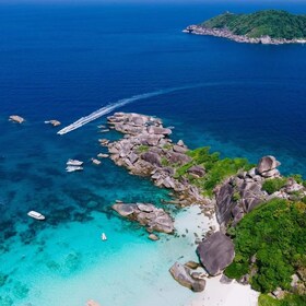 From Phuket/Khao Lak: Similan Day Trip by Speedboat Charter