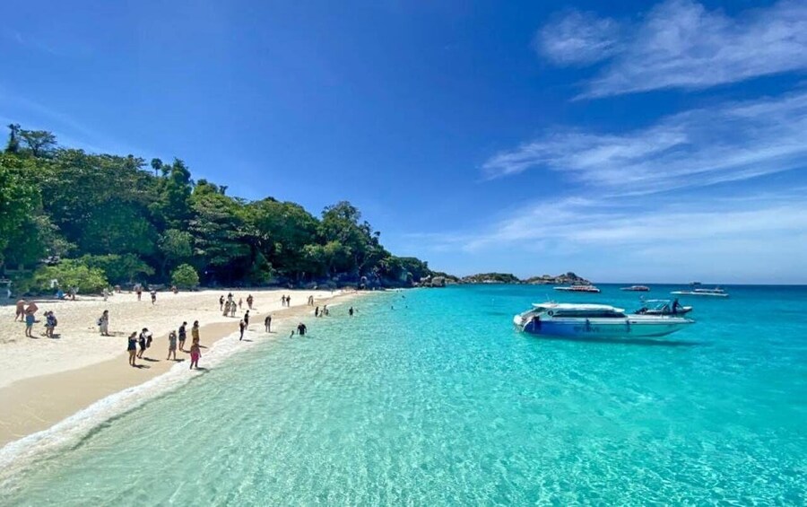 Picture 12 for Activity From Phuket/Khao Lak: Similan Day Trip by Speedboat Charter