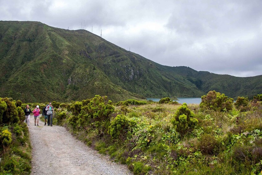 Picture 6 for Activity São Miguel: Full-Day Hike to Lagoa do Fogo