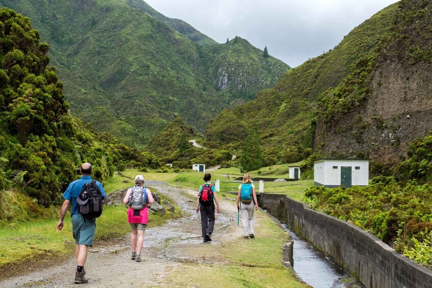 Picture 4 for Activity São Miguel: Full-Day Hike to Lagoa do Fogo