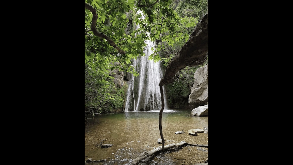 Picture 9 for Activity Richtis Waterfall and North Coast Tour