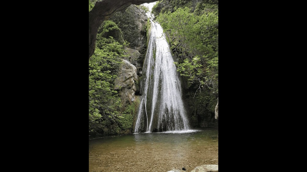 Picture 3 for Activity Richtis Waterfall and North Coast Tour