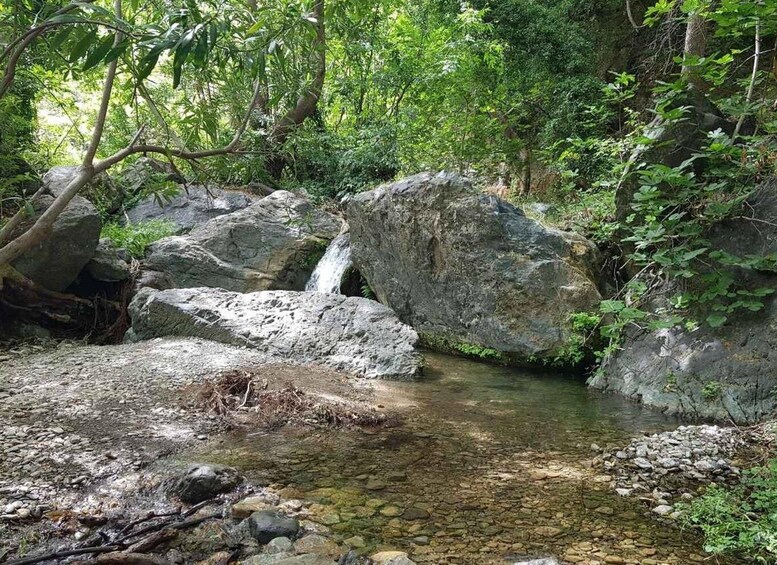 Picture 7 for Activity Richtis Waterfall and North Coast Tour