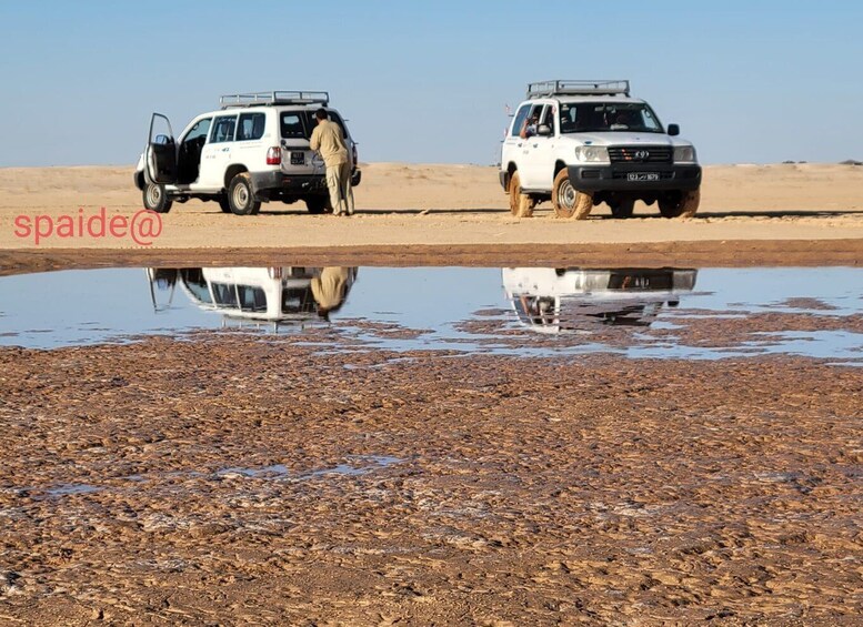 Tozeur: 2-Day Desert Overnight Stay in a Tent & Camel Trek