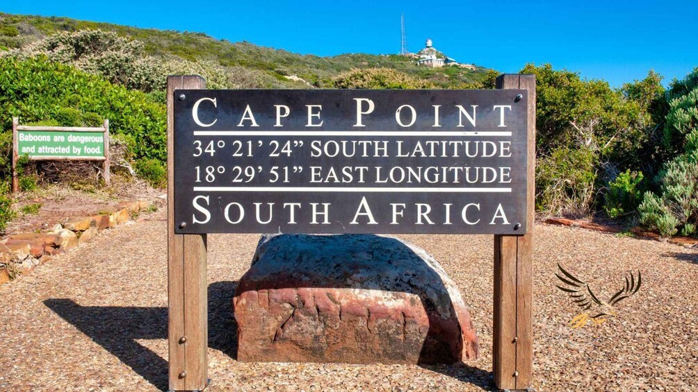 Picture 5 for Activity Cape Town:Shared Guided Group Tour to Cape Point&Penguins