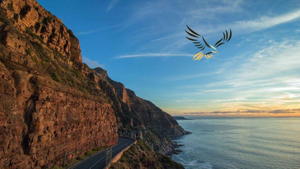 Picture 3 for Activity Cape Town:Shared Guided Group Tour to Cape Point&Penguins