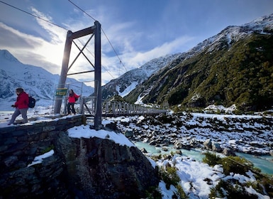 Fra Queenstown: Dagstur til Mount Cook og Hooker Valley