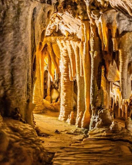 Picture 5 for Activity Palma: Caves of Genova Ticket & Digital Informational Video