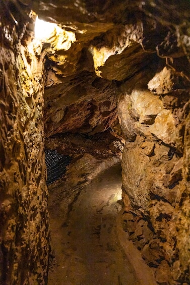 Picture 1 for Activity Palma: Caves of Genova Ticket & Digital Informational Video