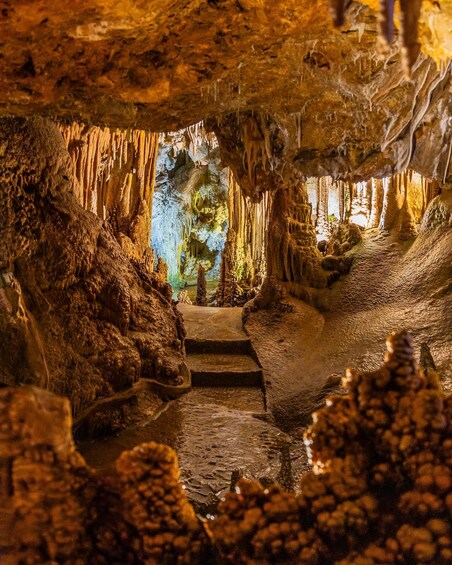 Picture 4 for Activity Palma: Caves of Genova Ticket & Digital Informational Video