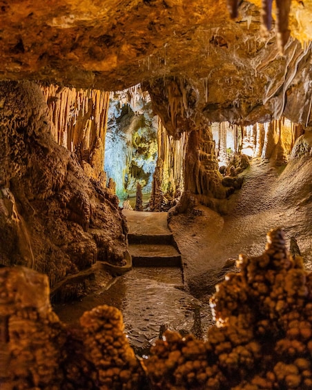 Picture 4 for Activity Palma: Caves of Genova Ticket & Digital Informational Video