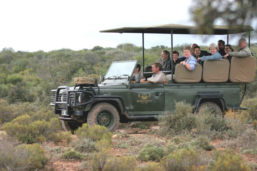 Picture 4 for Activity 2 Day Small Group Cape Town: Garden Route Big 5 Safari Tour