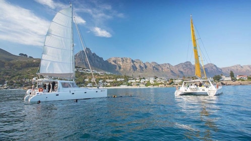 Ciudad del Cabo: crucero con champán frente al mar V&A