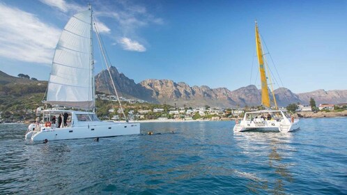 Kaapstad: V&A champagnecruise aan het water