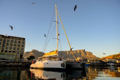 Cape Town: V&A Waterfront Champagne Cruise