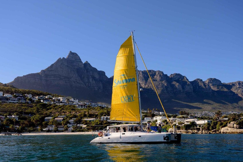 Picture 2 for Activity Cape Town: V&A Waterfront Champagne Cruise