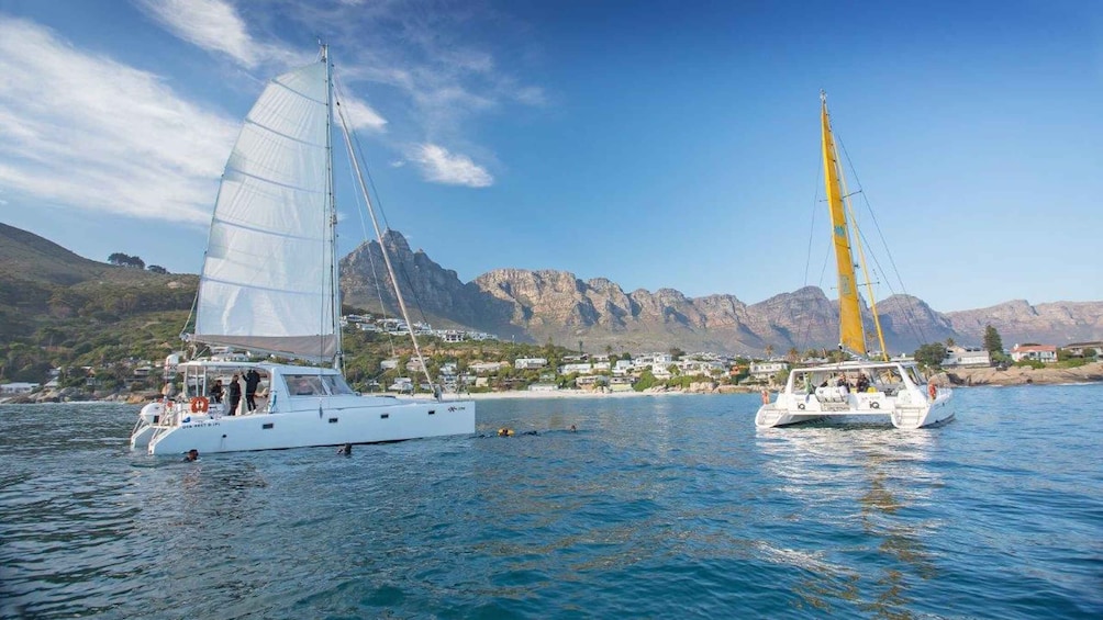 Cape Town: V&A Waterfront Champagne Cruise