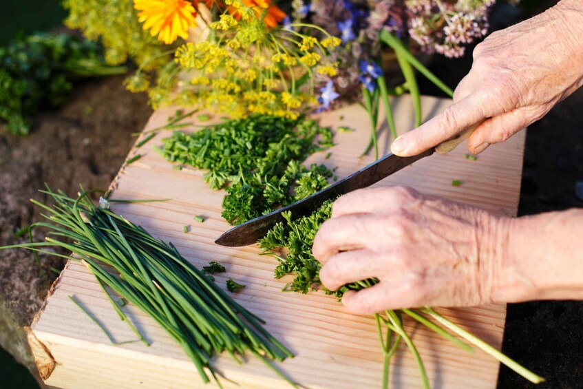 Picture 8 for Activity Palermo: Authentic Sicilian Cooking Class with Gourmet Lunch