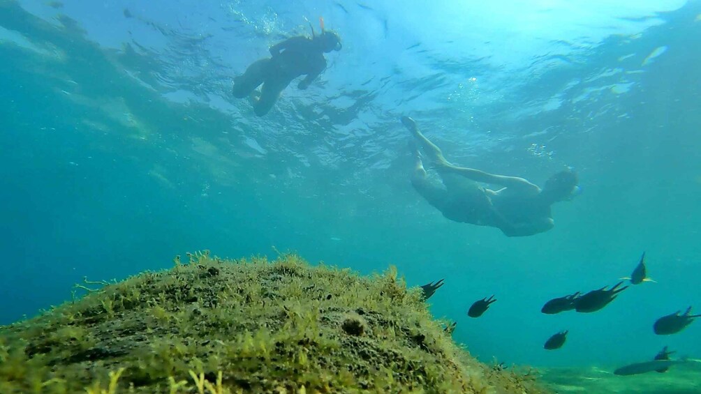 Picture 2 for Activity Lomo Quiebre: Mogan Kayaking and Snorkeling Tour in Caves