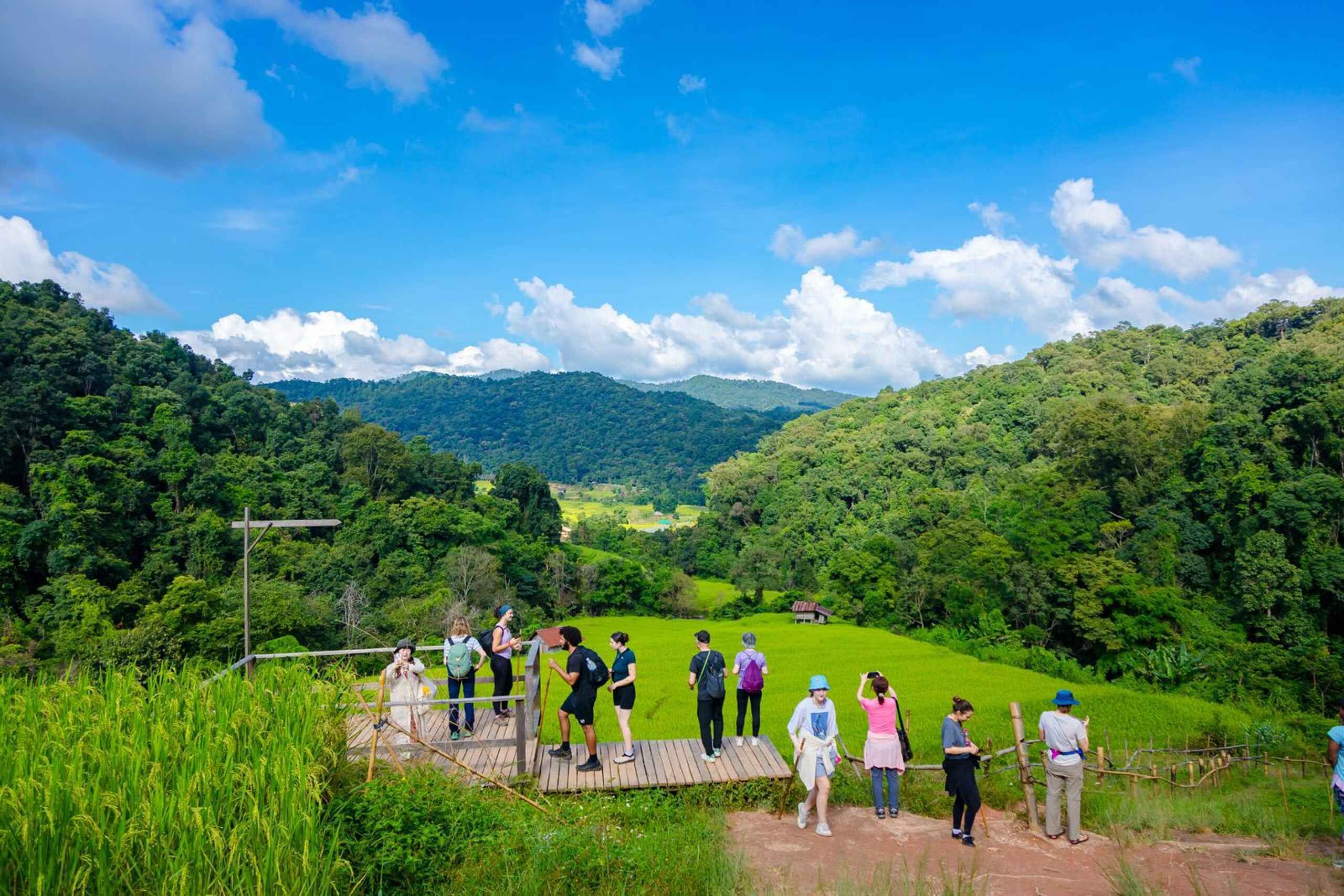 Chiang Mai: Pha Dok Siew Nature Trail & Doi Inthanon Trip