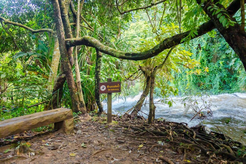 Picture 16 for Activity Chiang Mai: Pha Dok Siew Nature Trail & Doi Inthanon Trip