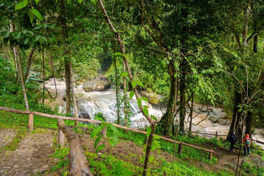 Picture 7 for Activity Chiang Mai: Pha Dok Siew Nature Trail & Doi Inthanon Trip