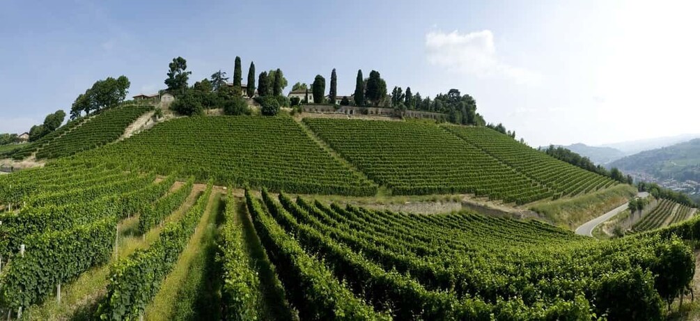 Picture 4 for Activity Turin: Private Barolo Wine Region Day Trip with Lunch