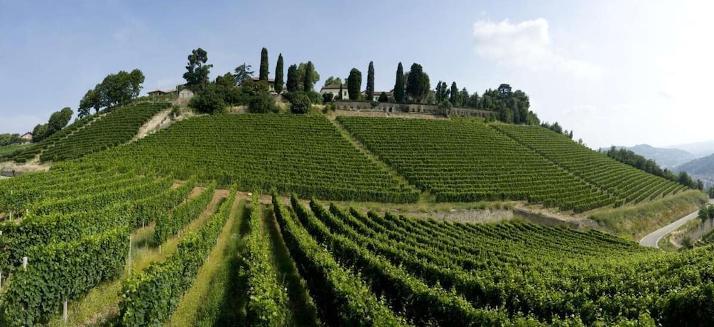 Picture 4 for Activity Turin: Private Barolo Wine Region Day Trip with Lunch