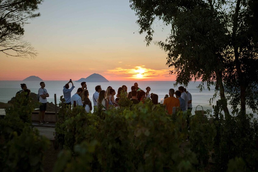 Picture 1 for Activity LIPARI: SUNSET WINE TASTING