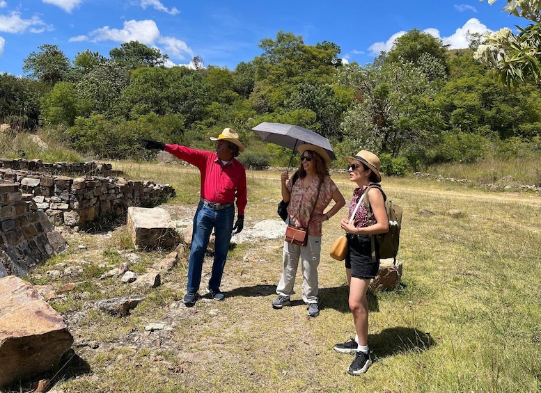 Oaxaca de Juarez: Monte Alban Half-Day Tour