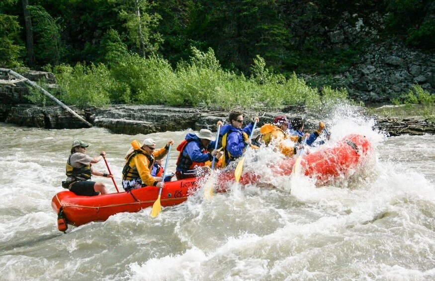 Picture 1 for Activity Jackson Hole: Snake River Whitewater Rafting Tour