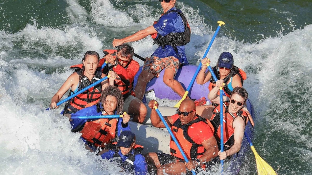 Picture 2 for Activity Jackson Hole: Snake River Whitewater Rafting Tour