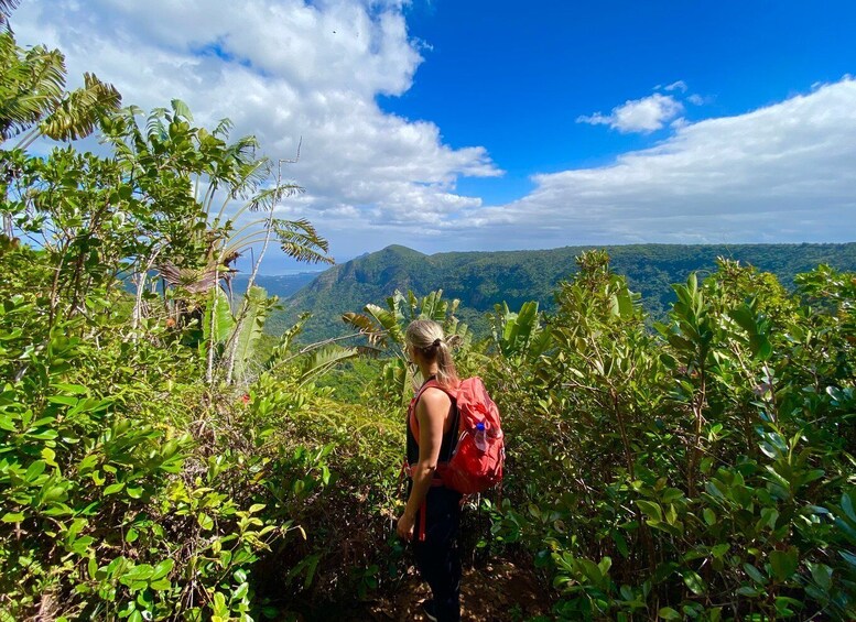 Picture 5 for Activity Black River Gorges National Park: Eco Adventure Day Tour