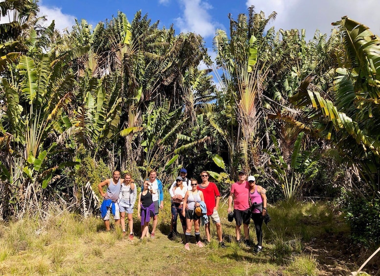 Picture 2 for Activity Black River Gorges National Park: Eco Adventure Day Tour