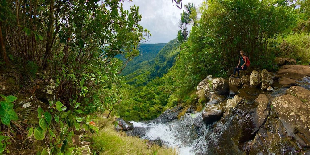 Picture 3 for Activity Black River Gorges National Park: Eco Adventure Day Tour