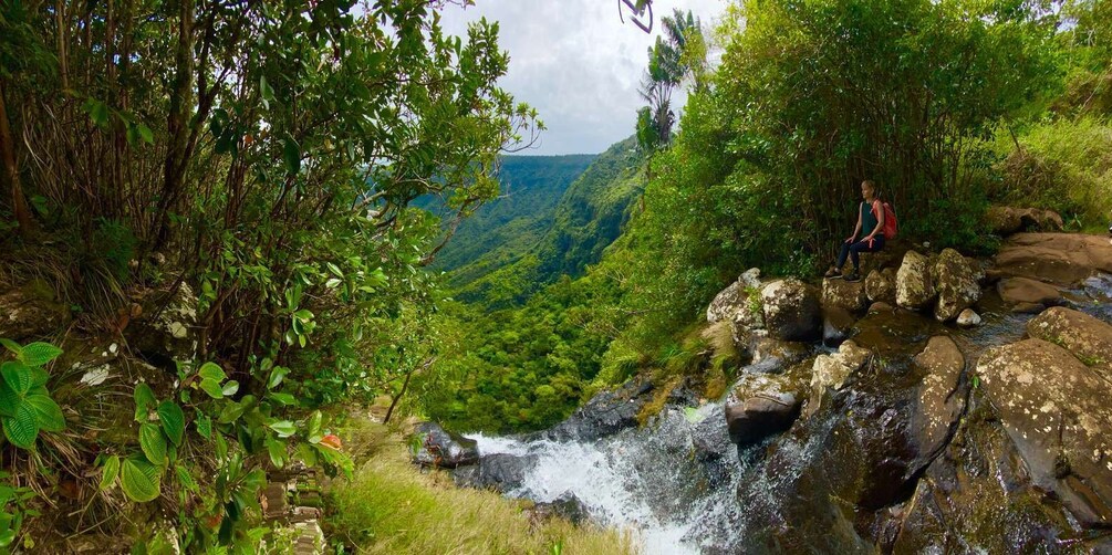 Picture 3 for Activity Black River Gorges National Park: Eco Adventure Day Tour